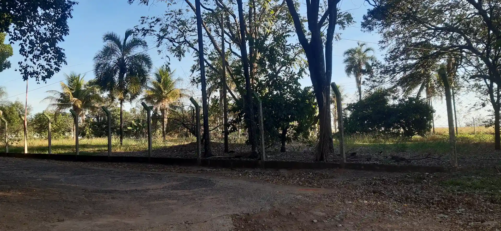 Chácara / Sítio / Fazenda no Regissol — foto 1